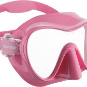 F1 Small Mask