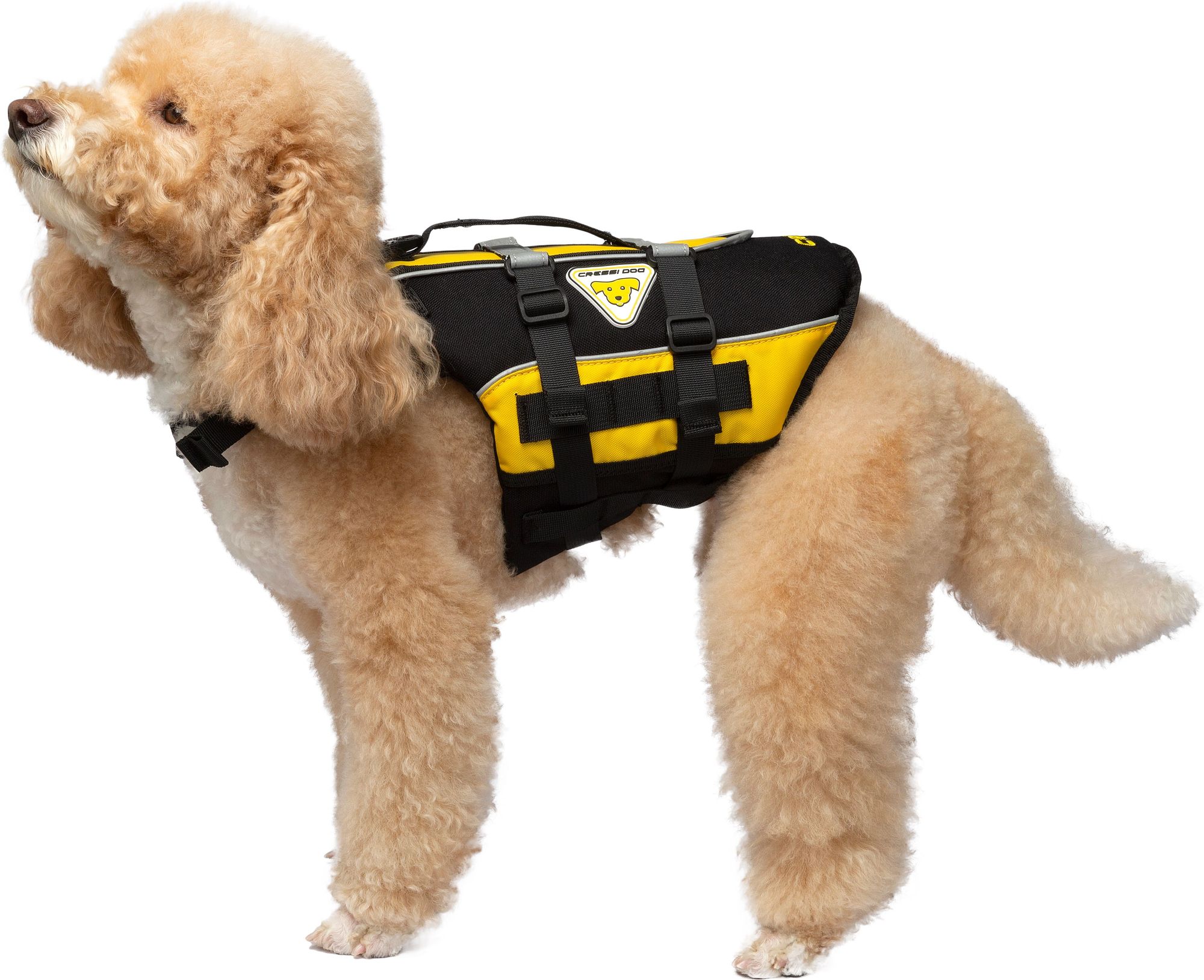 Dlj Dog Life Jacket Black / Yellow / XS