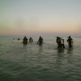 PADI Night Diver Specialty Course