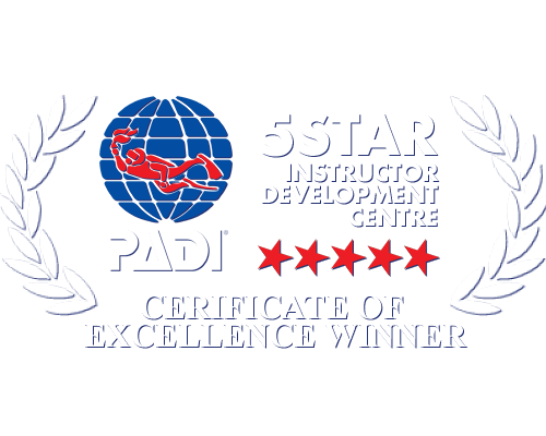 5 Star PADI Dive Centre