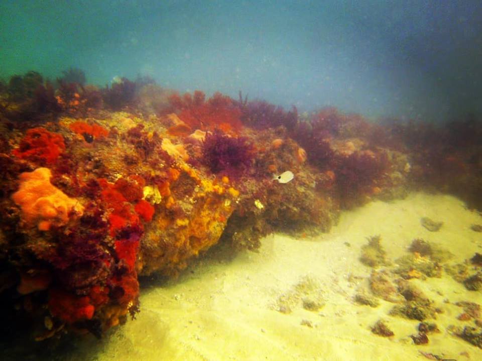 Devil’s Reef