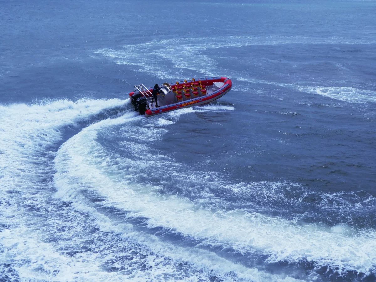 Adventure Boat Ride