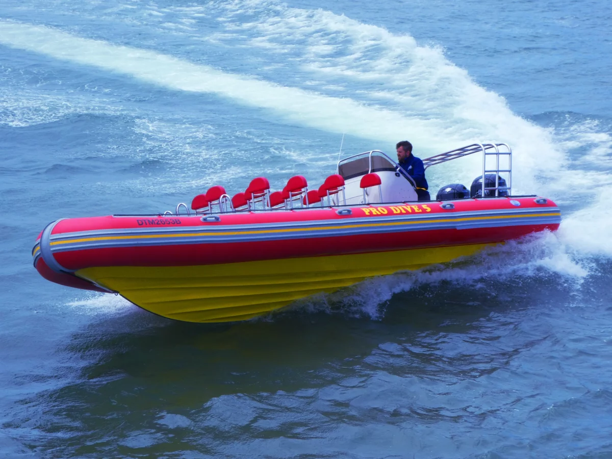 Adventure Boat Ride