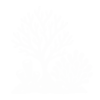 Coral Reef Icon Coral Reef Icon