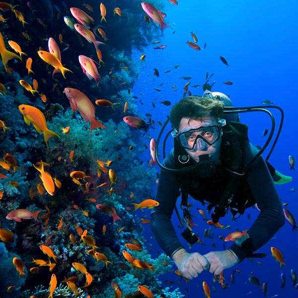 Try Scuba Diving In The Ocean