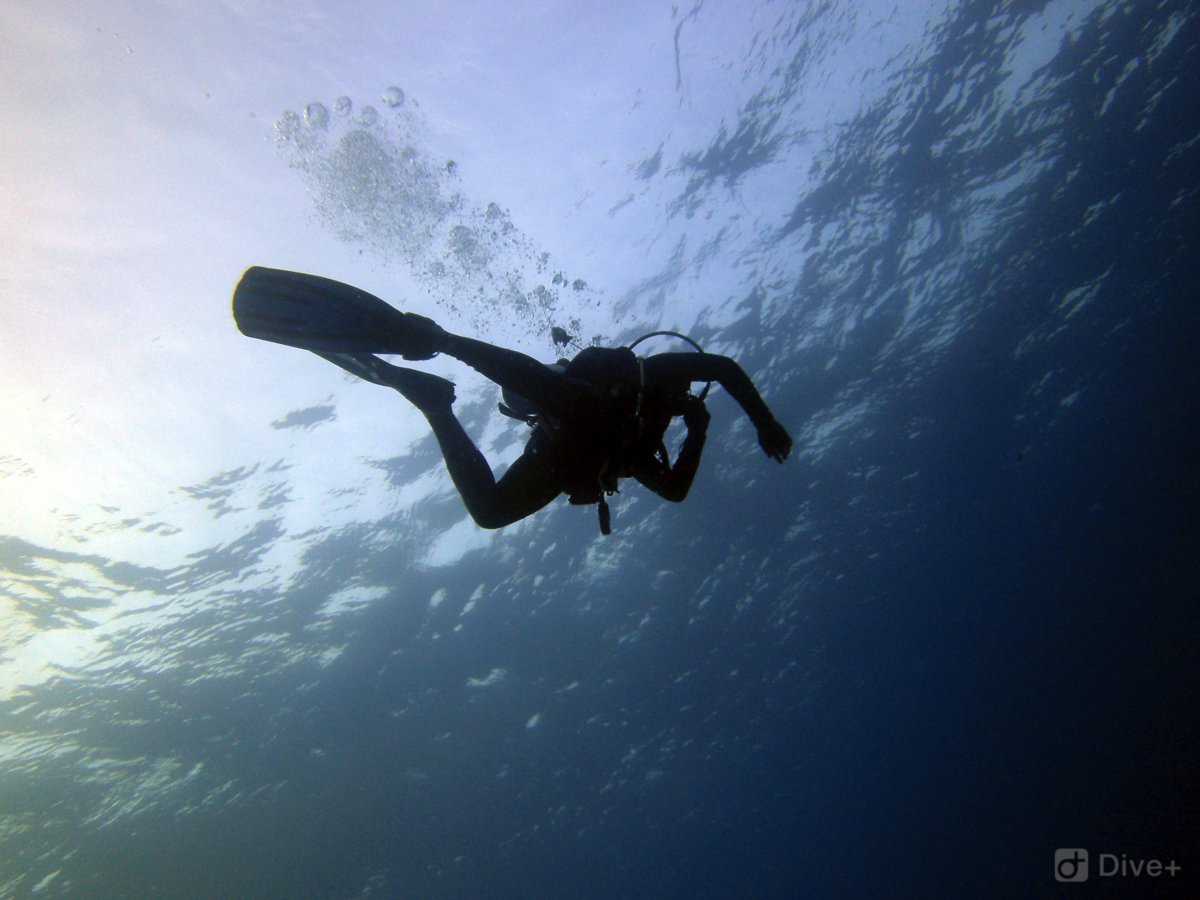 PADI Deep Diver Specialty
