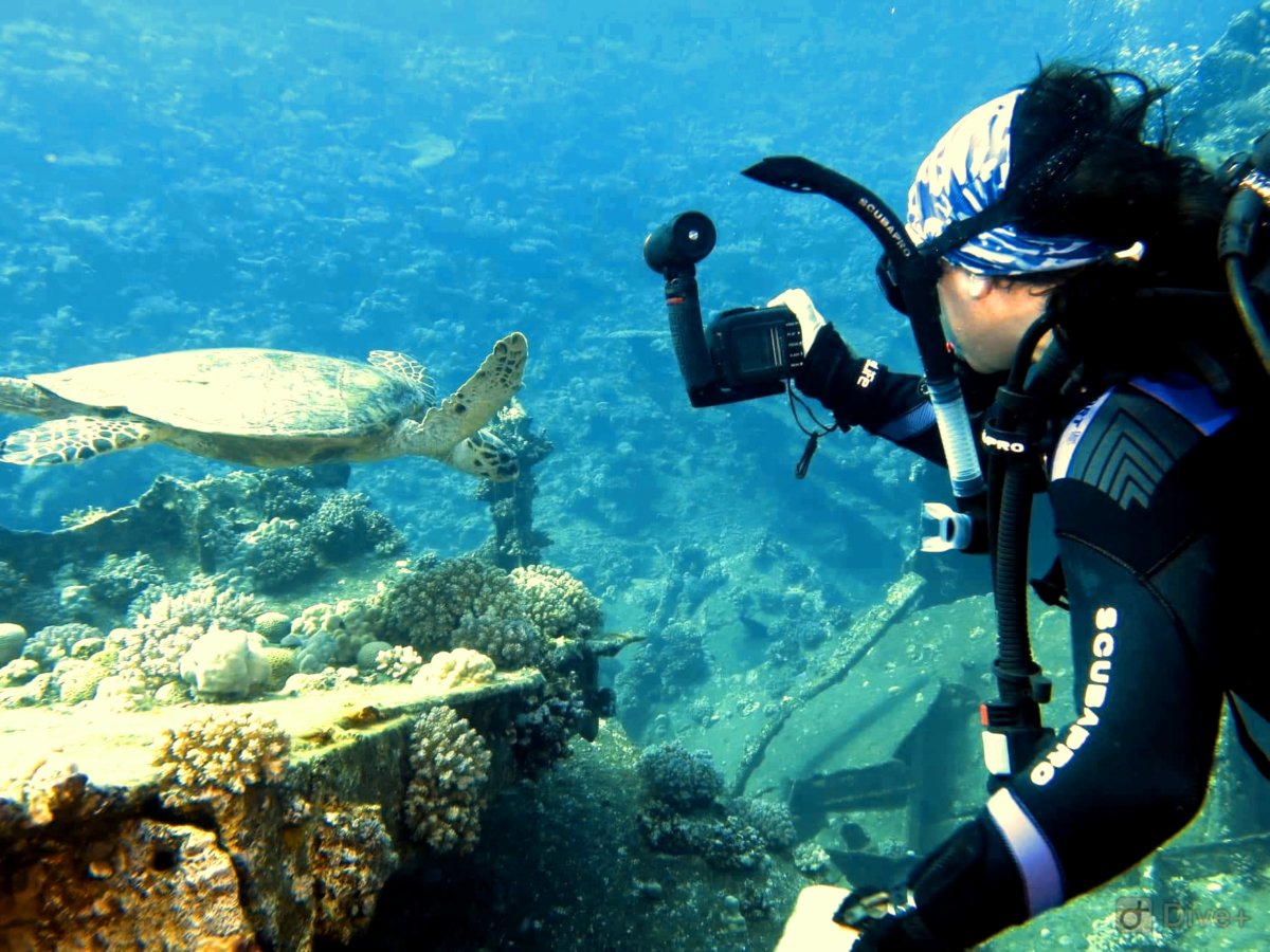 PADI Digital Underwater Photography Specialty